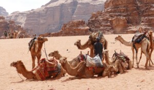 Pielgrzymka do Jordanii i Ziemi Świętej pustynia wadi rum Pixabay License