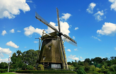 Holandia - kraj Tulipanów, Wiatraków i Sera