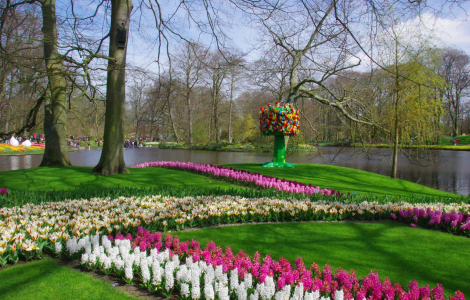 Festiwal Kwiatów Holandia