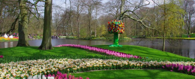Festiwal Kwiatów Holandia
