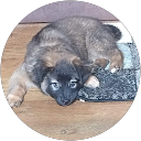 Bartosz S. profile picture